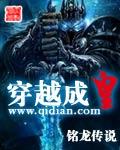 穿越成皇子造火枪大炮的
