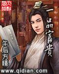 一品富贵木门属于几线品牌